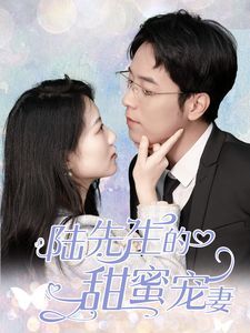 陆先生的甜蜜宠妻第01-30集