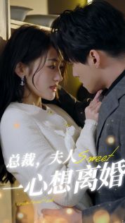 总裁，夫人一心想离婚第1-20集