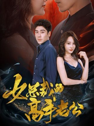 女总裁的高手老公第41-60集