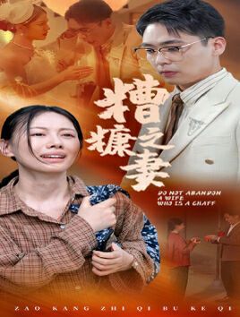 糟糠之妻第21-40集