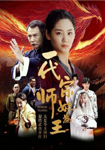 一代宗师她为王第1-20集