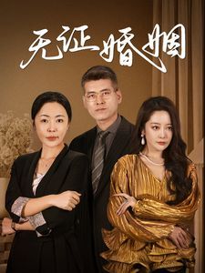 无证婚姻第1-20集