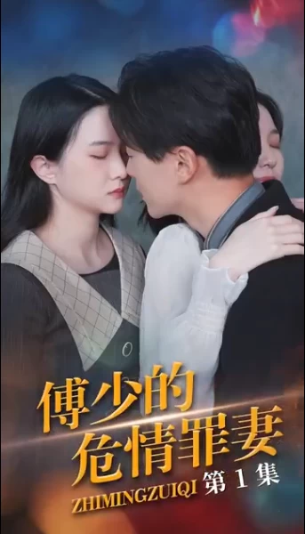 傅少的隐婚罪妻1-20集